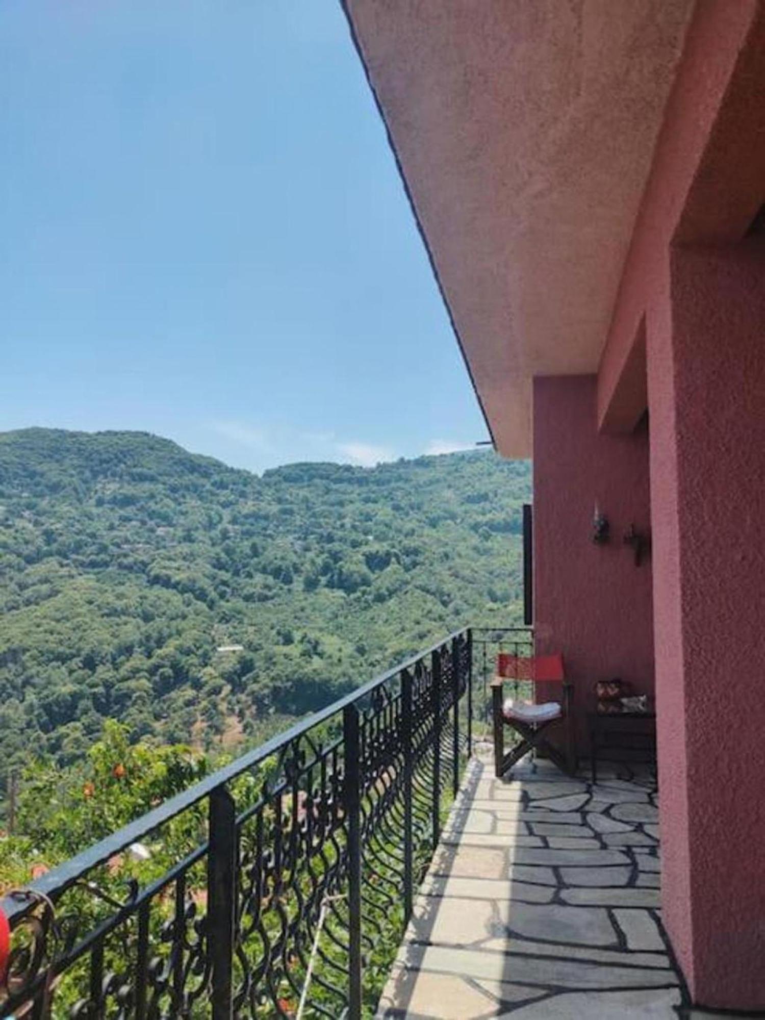 Hara'S House Pelion Apartment Makrirrakhi Exterior photo