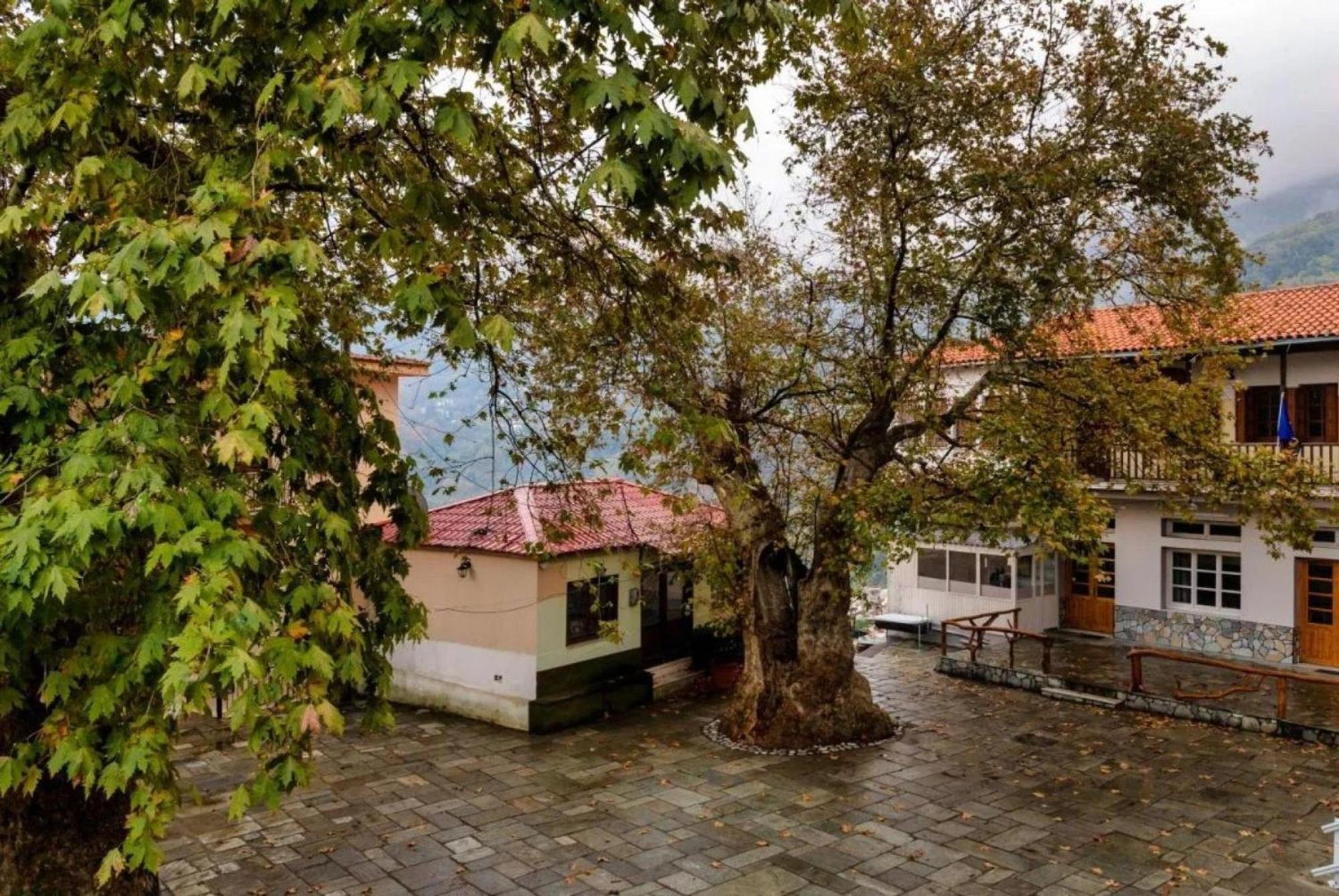 Hara'S House Pelion Apartment Makrirrakhi Exterior photo