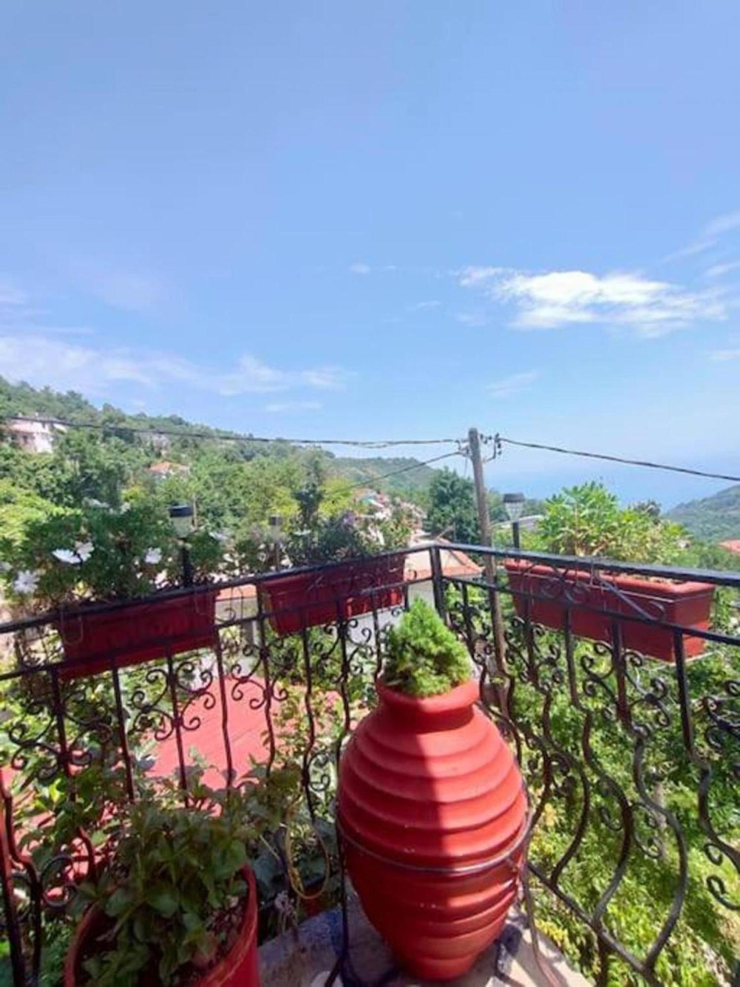 Hara'S House Pelion Apartment Makrirrakhi Exterior photo